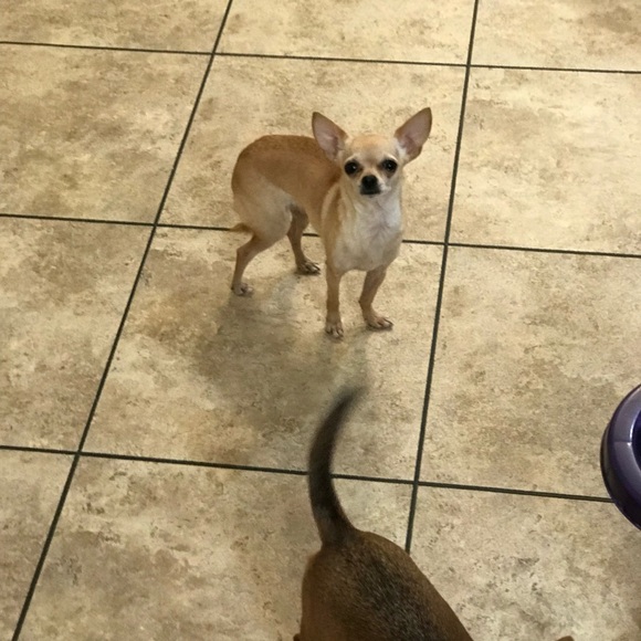 Meet your Posher, Carolyn - Picture 3 of 4